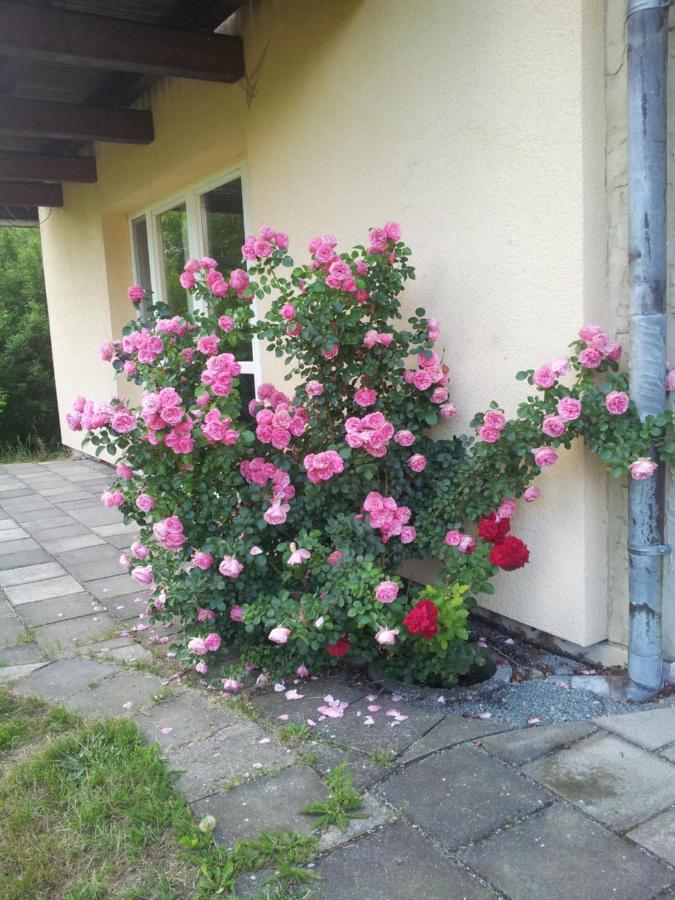 Ferienwohnung Am Spreeradweg Neusalza-Spremberg Kültér fotó